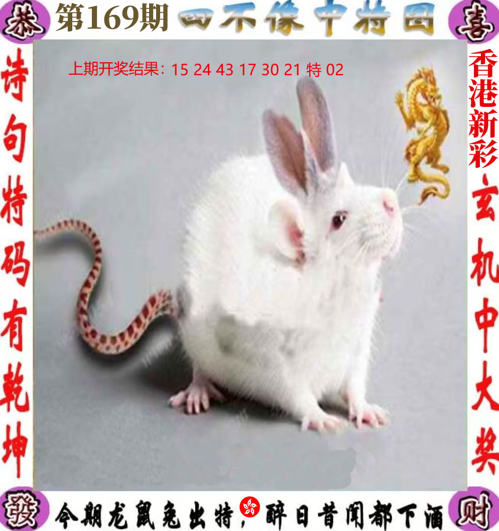 First Image